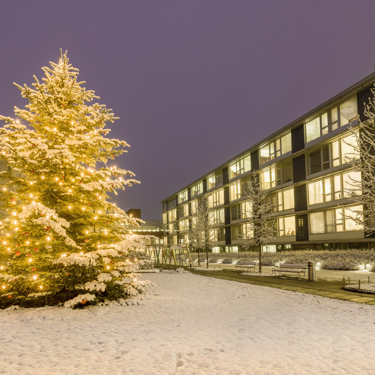 Weihnachten beim Spital Bülach